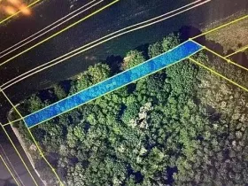 Prodej lesa, Březolupy, 910 m2