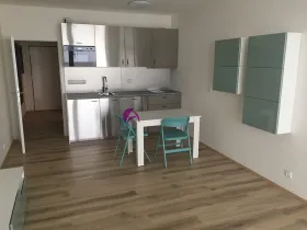 Pronájem bytu 1+kk, Olomouc, Rokycanova, 35 m2