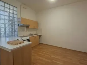 Pronájem bytu 1+1, Olomouc, Mlčochova, 55 m2