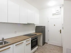 Pronájem bytu 2+1, Praha - Bubeneč, U zeměpisného ústavu, 46 m2