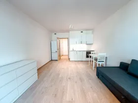 Pronájem bytu 1+kk, Praha - Hloubětín, Poděbradská, 33 m2
