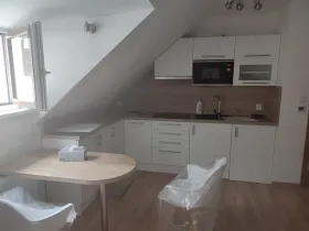 Pronájem bytu 1+kk, Frýdek-Místek, Ostravská, 32 m2