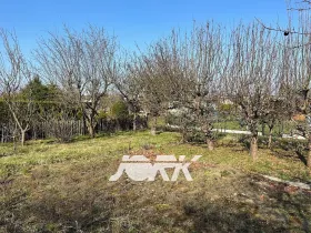 Prodej zahrady, Pardubice, 319 m2