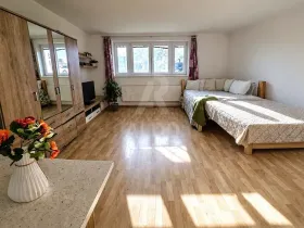 Prodej bytu 1+kk, České Budějovice, Na Zlaté stoce, 31 m2