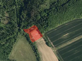 Prodej louky, Bělotín, 7028 m2