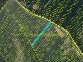 Prodej pole, Svatobořice-Mistřín, Hlavní, 8725 m2