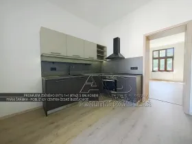 Pronájem bytu 1+1, České Budějovice, Fráni Šrámka, 40 m2