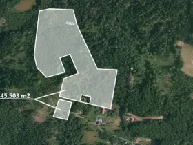 Prodej lesa, Prostřední Bečva, 45503 m2