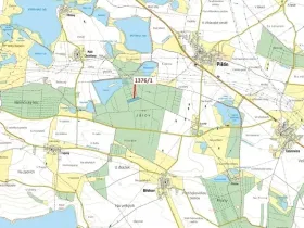 Dražba lesa, Břehov, 13807 m2