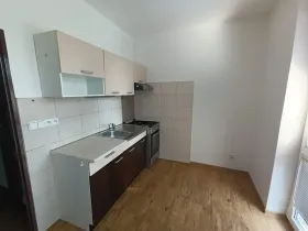 Pronájem bytu 1+1, Frýdlant nad Ostravicí, 38 m2