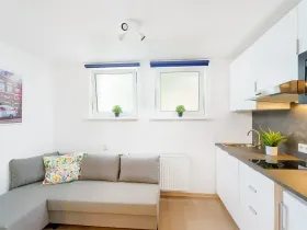 Prodej bytu 1+kk, Praha - Krč, Čerčanská, 18 m2