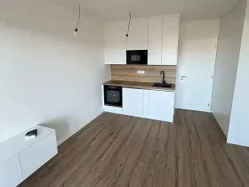 Pronájem bytu 1+kk, Kladno, Ke křížku, 25 m2