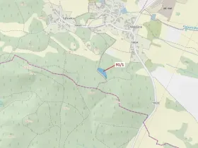 Dražba lesa, Pačejov, 3251 m2