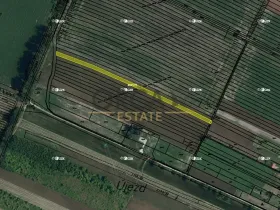 Prodej pole, Tvrdonice, 1967 m2