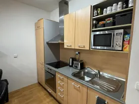 Pronájem bytu 1+kk, Brno, Kosmova, 40 m2