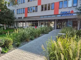 Pronájem kanceláře, Brno - Trnitá, Křenová, 105 m2