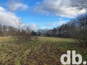 Prodej pole, Ostrov, 22490 m2