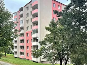 Pronájem bytu 1+1, Uherský Brod, Rychtalíkova, 39 m2