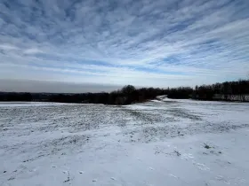 Prodej louky, Bruzovice, 94427 m2