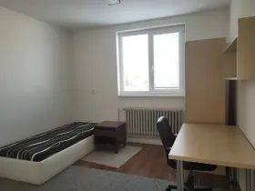 Pronájem pokoje, Brno, Vídeňská, 12 m2