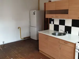 Pronájem bytu 1+1, Teplice, U Vlastního krbu, 45 m2