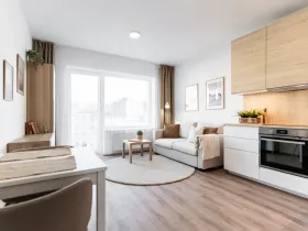 Pronájem bytu 1+kk, Brno - Zábrdovice, Spolková, 38 m2