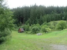 Dražba louky, Velké Karlovice, 24946 m2