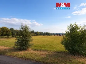 Prodej louky, Třemošná, 2118 m2