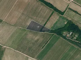 Prodej pole, Nový Šaldorf-Sedlešovice, 12133 m2