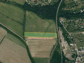 Prodej pole, Nový Šaldorf-Sedlešovice, 8035 m2