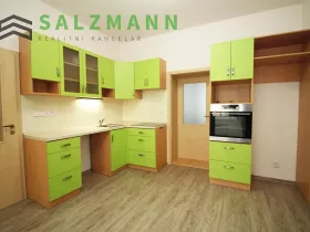 Pronájem bytu 2+kk, Plzeň, Úslavská, 38 m2