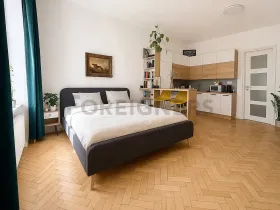 Pronájem bytu 1+kk, Brno, Údolní, 42 m2