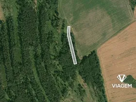 Prodej lesa, Blížejov, 1490 m2