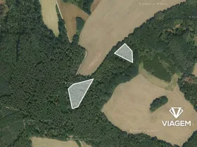 Prodej podílu lesa, Snědovice, 4193 m2