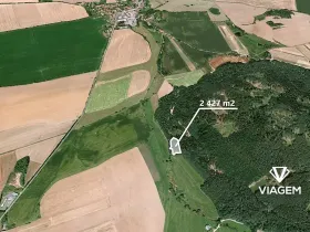 Prodej podílu lesa, Koloveč, 707 m2