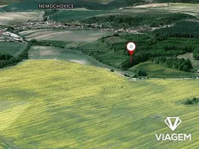 Prodej podílu lesa, Nemochovice, 624 m2