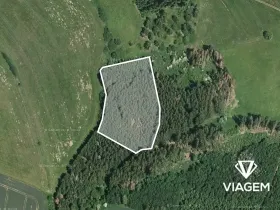 Prodej podílu lesa, Radošovice, 2390 m2