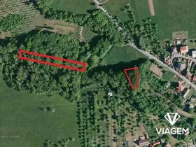 Prodej lesa, Velký Ořechov, 2756 m2