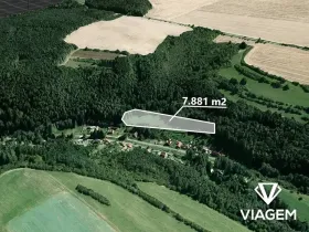 Prodej pole, Lašovice, 7881 m2