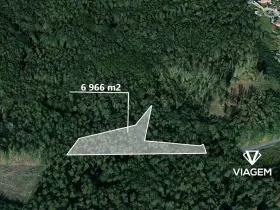 Prodej podílu lesa, Dašice, 3483 m2