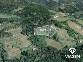 Prodej pole, Francova Lhota, 7567 m2