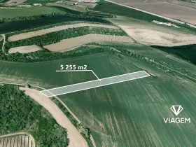 Prodej podílu pole, Blučina, 1751 m2