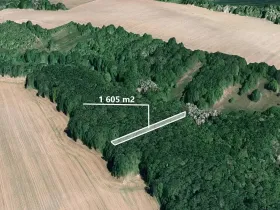 Prodej podílu lesa, Popovice, 735 m2