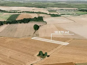 Prodej podílu pole, Dolní Životice, 1083 m2