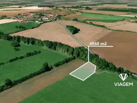 Prodej podílu pole, Netřebice, 810 m2