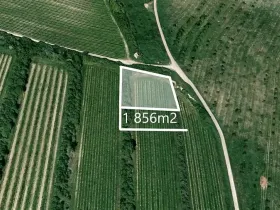 Prodej sadu/vinice, Šardice, 1856 m2