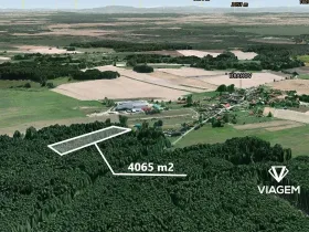 Prodej podílu lesa, Drahov, 2032 m2