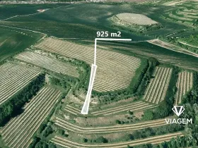 Prodej podílu pole, Uherčice, 185 m2