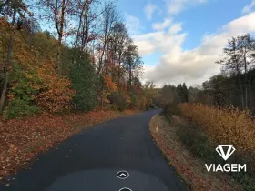 Prodej podílu lesa, Stružinec, 1339 m2