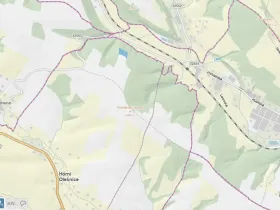 Prodej lesa, Horní Olešnice, 7037 m2